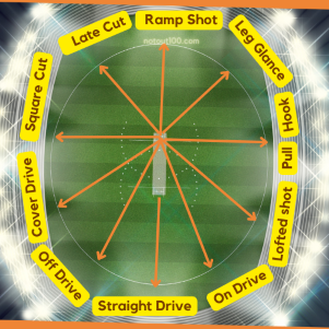 cricket pitch